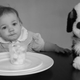 Illustration for article titled This years Oscar nominees, in baby form